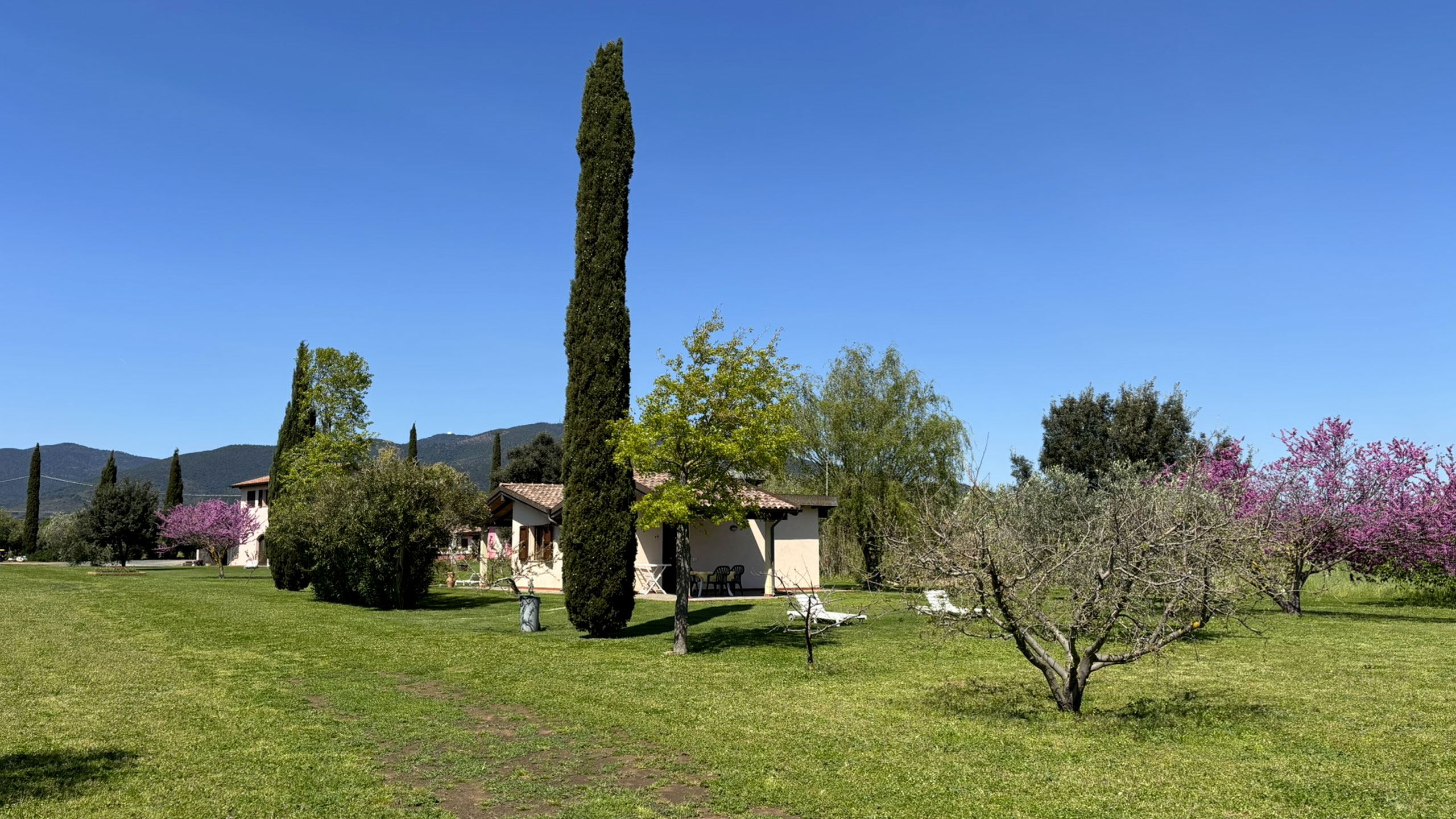 Agriturismi-Castiglione-della-Pescaia-Agriturismo-Paradiso